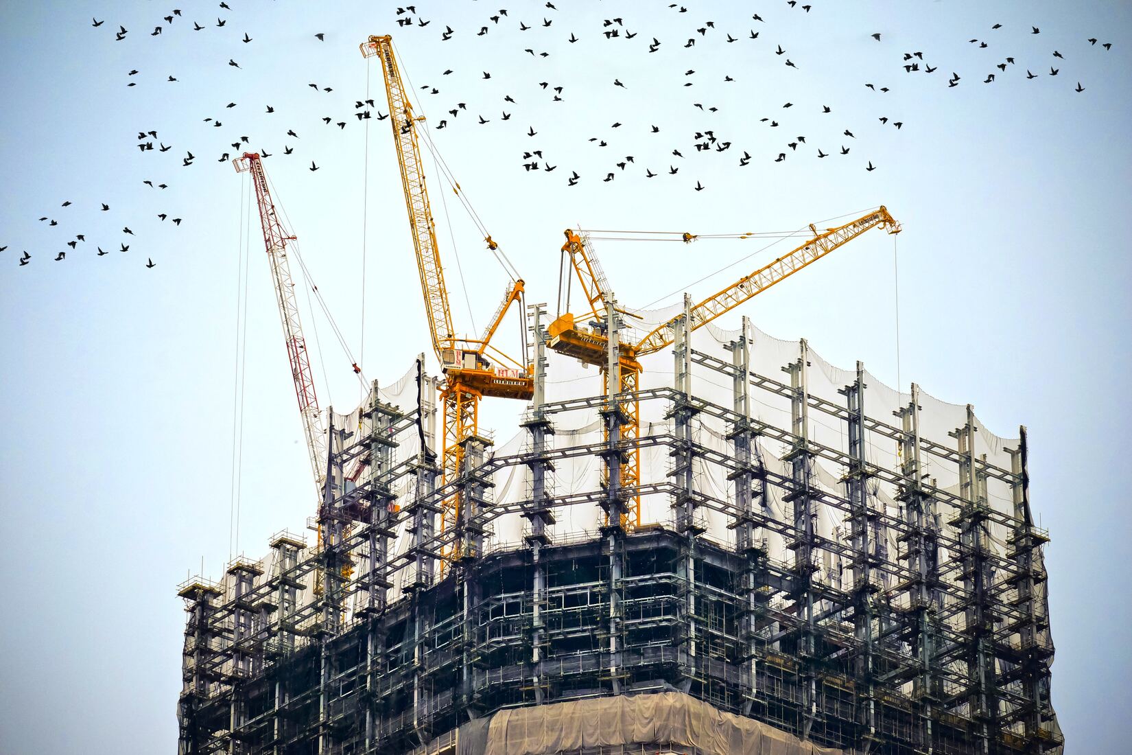 Building a Collaborative & Social Application Security Program