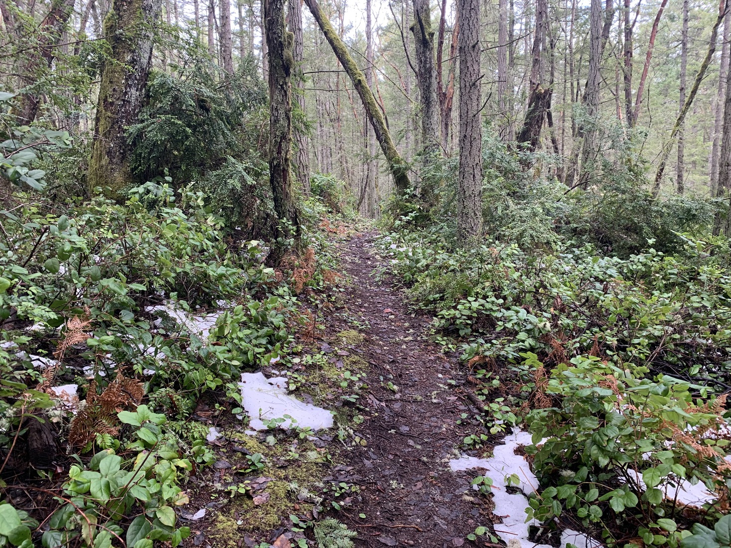 Max Out vs. Continuous Development