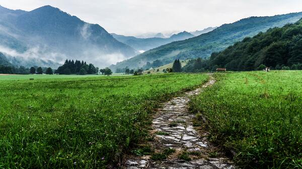 The Middle Path of Planning and Reflection